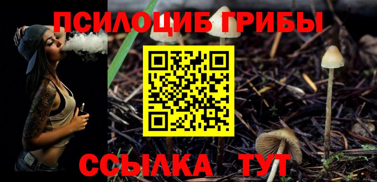 Галлюциногенные грибы GOLDEN TEACHER Ликино-Дулёво
